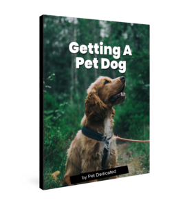 Getting a Pet Dog