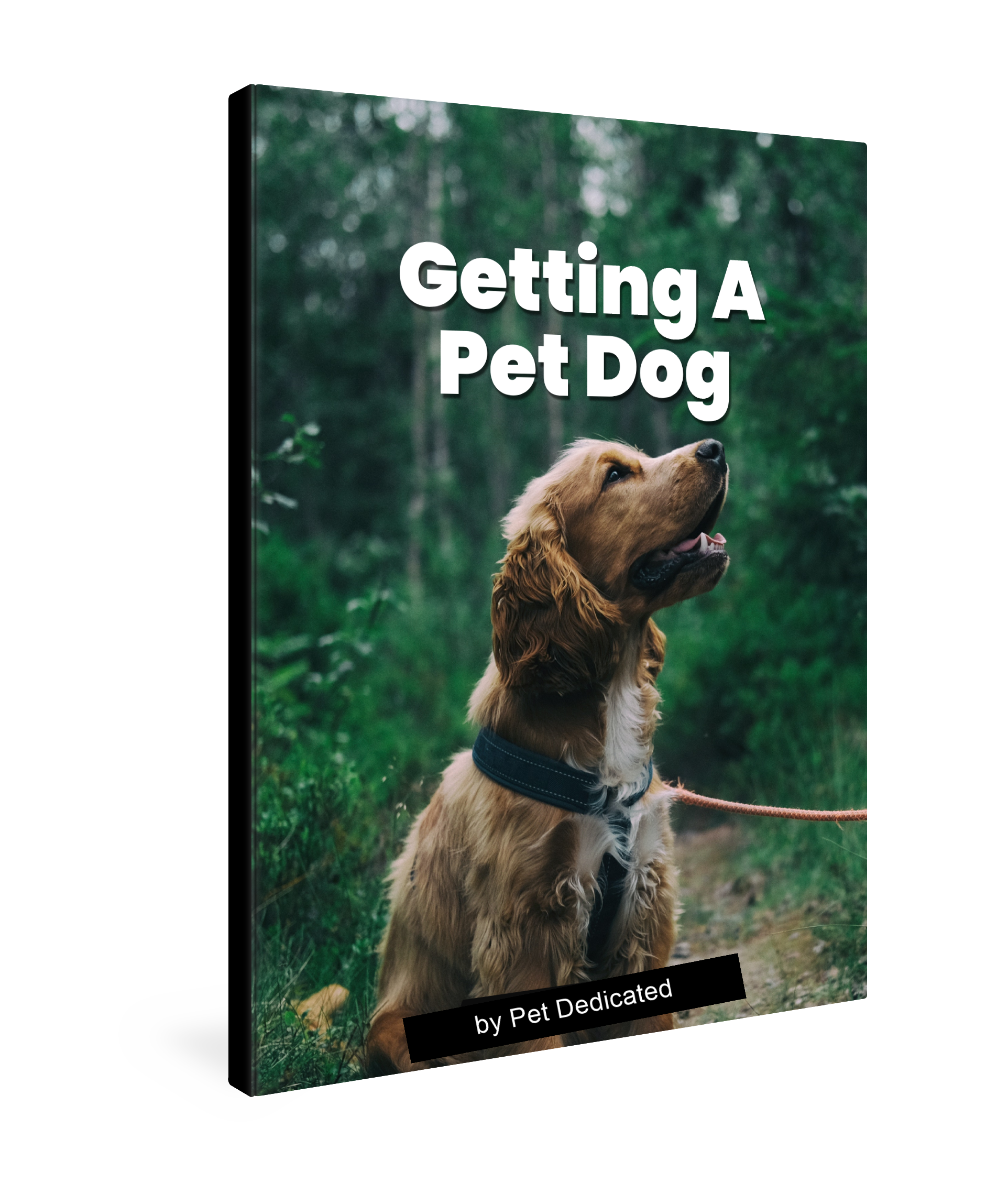 Getting a Pet Dog