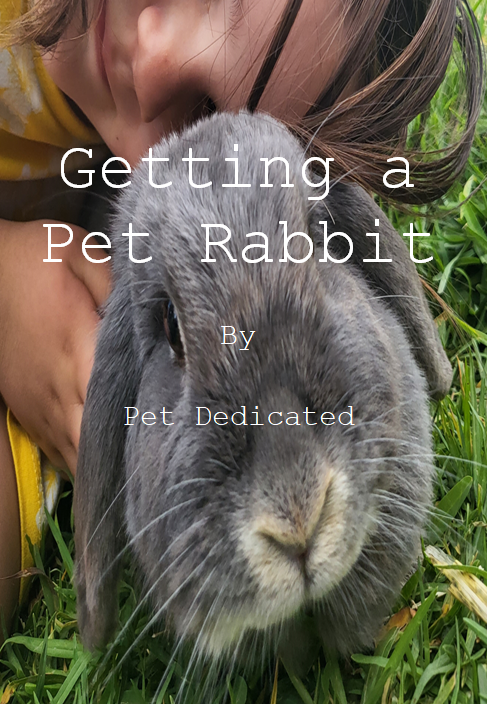Offers – Pet Supplies